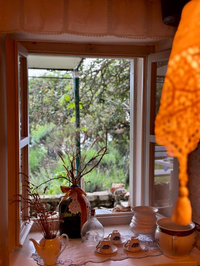 Robinson House Leticia Villa Čunski Екстериор снимка
